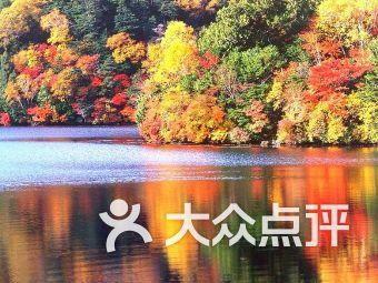 骑士的侍从
